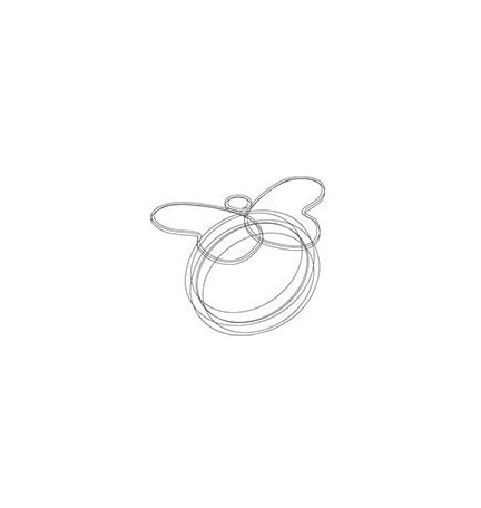 progetto-anello-farfalla